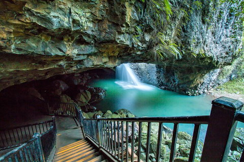 Springbrook Full Day Tour - Accommodation Kalgoorlie 4