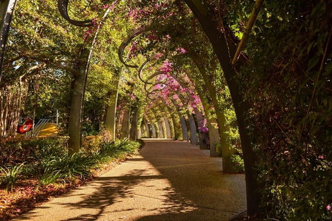 Brisbane Scavenger Hunt: Brisbane's South Bank! - Accommodation Kalgoorlie 3
