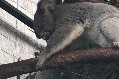 Perth Hills - Wildlife, Art & Gastronomy - Accommodation Kalgoorlie 3