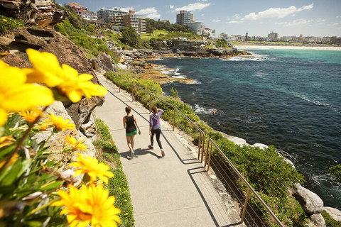 Sydney Uncovered Full-Day Tour - Accommodation Kalgoorlie 1