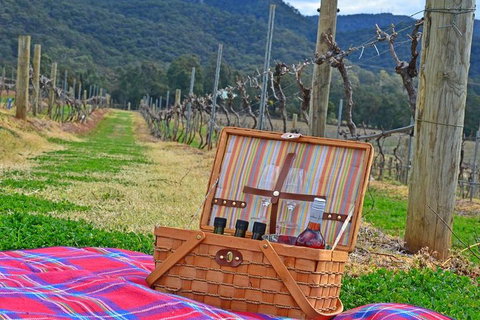 Private Hunter Valley And Gardens Day Trip From Sydney - Accommodation Kalgoorlie 2