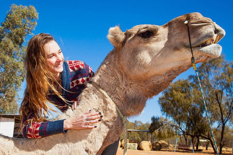 Alice Springs Camel Tour - Accommodation Kalgoorlie 2