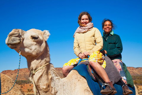 Alice Springs Camel Tour - Accommodation Kalgoorlie 3