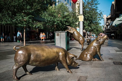 Guided Walking Tour In Adelaide - Accommodation Kalgoorlie 4