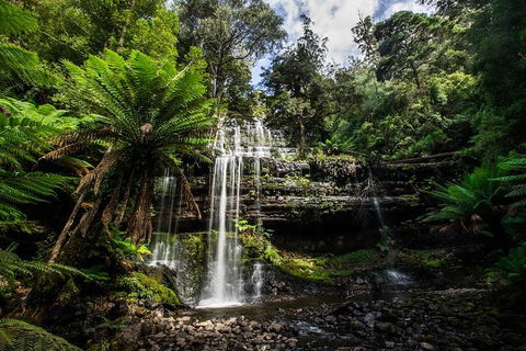 3-Day Tour To The Falls, Mountains, Lake & More Of West Coast Tasmania - Accommodation Kalgoorlie 4