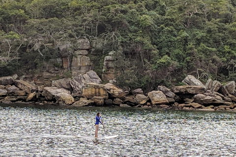 Manly & Sydney's Northern Beaches With 'Personalised Sydney Tours' - Accommodation Kalgoorlie 3