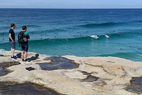 Sydney Secrets & Bondi Beach Private 4 Hr Morning With Personalised Sydney Tours - Accommodation Kalgoorlie 2