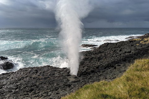 Erupting Blowholes And Ancient Rainforests With 'Personalised Sydney Tours' - Accommodation Kalgoorlie 1