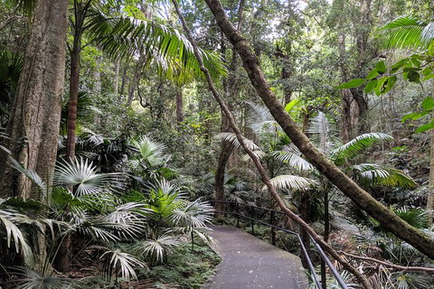 Erupting Blowholes And Ancient Rainforests With 'Personalised Sydney Tours' - Accommodation Kalgoorlie 2