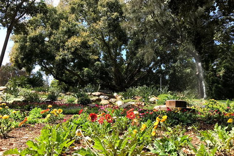 Discover Sydney - Botanic - Accommodation Kalgoorlie 3