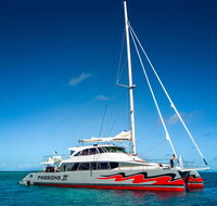 Passions of Paradise Great Barrier Reef Snorkel and Dive Cruise from Cairns by Luxury Catamaran