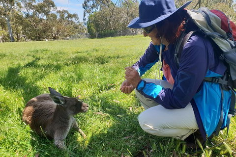 Mount Lofty Hike And Cleland Wildlife Park Day Trip From Adelaide - Accommodation Kalgoorlie 1