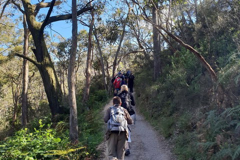 Mount Lofty Hike And Cleland Wildlife Park Day Trip From Adelaide - Accommodation Kalgoorlie 3