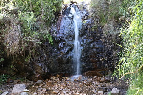 Mount Lofty Hike And Cleland Wildlife Park Day Trip From Adelaide - Accommodation Kalgoorlie 4
