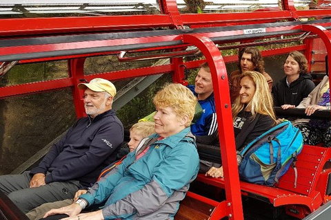 Blue Mountains Ultimate One-Day Tour - Accommodation Kalgoorlie 0