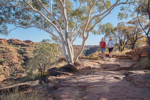 3-Day Tour From Uluru (Ayers Rock) To Alice Springs Via Kings Canyon - Accommodation Kalgoorlie 1