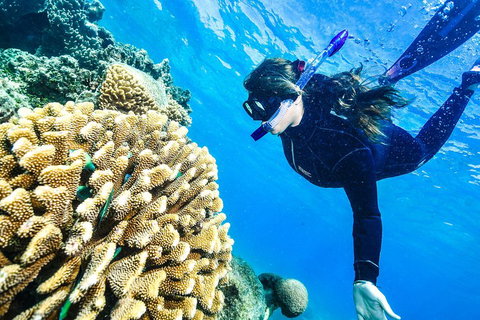 Green Island Day Trip From Cairns - Accommodation Kalgoorlie 1