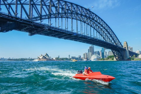 Sydney Speed Boat Adventure Harbour Tour - Accommodation Kalgoorlie 5