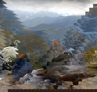 Inside the Greater Blue Mountains World Heritage - A Private Wildlife Safari Overnight - Accommodation Kalgoorlie