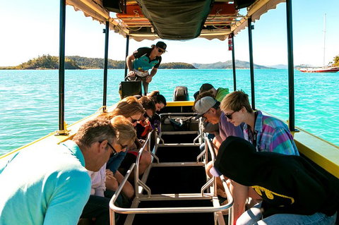 Airlie Beach Glass Bottom Boat Tour - Accommodation Kalgoorlie 1