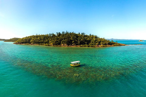 Airlie Beach Glass Bottom Boat Tour - Accommodation Kalgoorlie 3