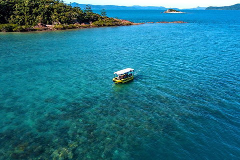 Airlie Beach Glass Bottom Boat Tour - Accommodation Kalgoorlie 4