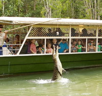 Hartley's Crocodile Adventure Half-Day Tour