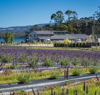 Private Hobart Discover South East Food and Scenic Tour - Accommodation Kalgoorlie