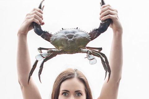 The Ultimate Gold Coast Attractions Pass - Accommodation Kalgoorlie 0