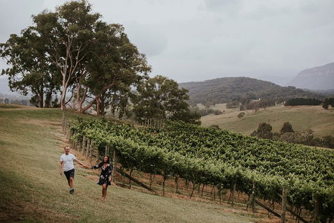 Luxury Blue Mountains Tour With Aussie BBQ Lunch And Wine Tasting - Accommodation Kalgoorlie 3