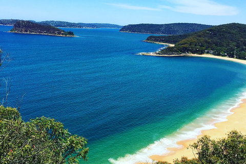 Central Coast Private Tour From Sydney, With Australian Reptile Park Option - Accommodation Kalgoorlie 5