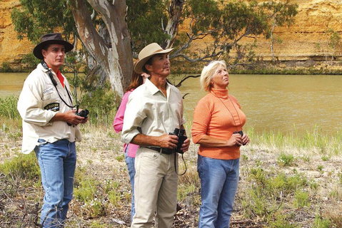 4-Night Murray River Cruise By Classic Paddle Wheeler PS Murray Princess - Accommodation Kalgoorlie 2