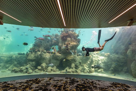 Whitehaven Beach And Daydream Island Cruise - Accommodation Kalgoorlie 4