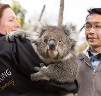 Bonorong Wildlife Park and Richmond Afternoon Tour from Hobart - Accommodation Kalgoorlie