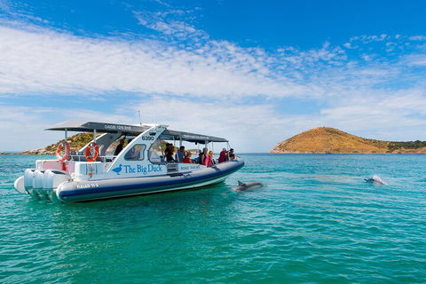 Southern Ocean Adventure From Victor Harbor - Accommodation Kalgoorlie 1