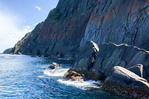 Southern Ocean Adventure From Victor Harbor - Accommodation Kalgoorlie 3