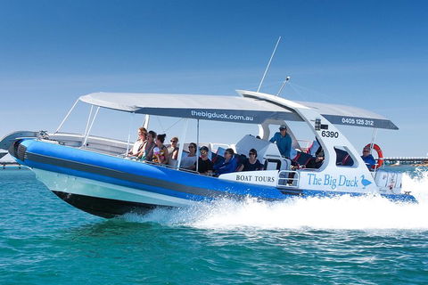 Southern Ocean Adventure From Victor Harbor - Accommodation Kalgoorlie 5