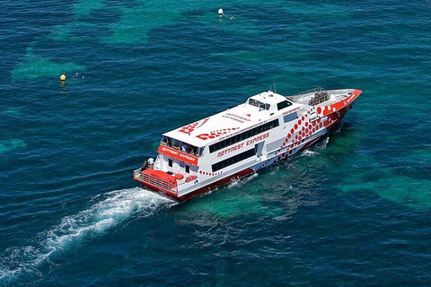 Discover Rottnest With Ferry & Bus Tour From Perth Or Fremantle - Accommodation Kalgoorlie 3