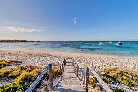 Discover Rottnest With Ferry & Bus Tour From Perth Or Fremantle - Accommodation Kalgoorlie 4