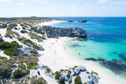 Discover Rottnest With Ferry & Bus Tour From Perth Or Fremantle - Accommodation Kalgoorlie 5