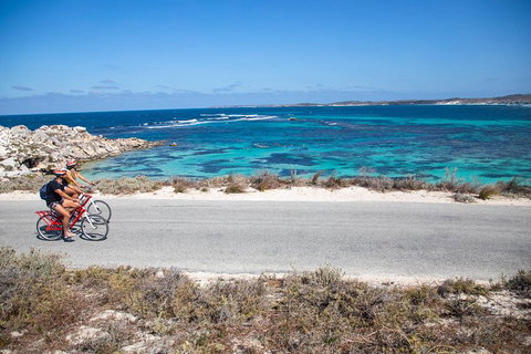 Experience Rottnest With Ferry & Bike Hire From Perth Or Fremantle - Accommodation Kalgoorlie 2