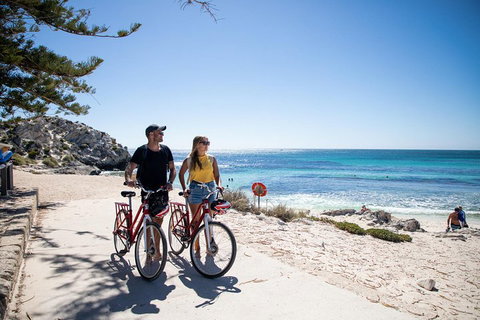 Experience Rottnest With Ferry & Bike Hire From Perth Or Fremantle - Accommodation Kalgoorlie 4