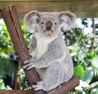 Cairns ZOOM and Wildlife Dome
