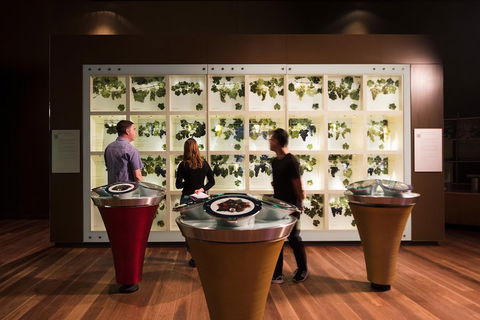 Australian Wine Discovery Tour Ticket - Accommodation Kalgoorlie 3