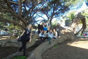 1/2 day Swan Valley Wine Cheese & Chocolate Tour Inc Afternoon Cruise to Perth