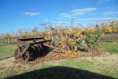 Swan Valley Tour From Perth: Wine, Beer And Chocolate Tastings - Accommodation Kalgoorlie 3