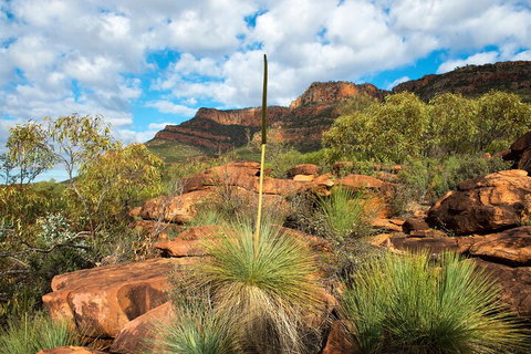 6-Day Eyre Peninsula & Flinders Ranges Adventure Tour - Accommodation Kalgoorlie 1
