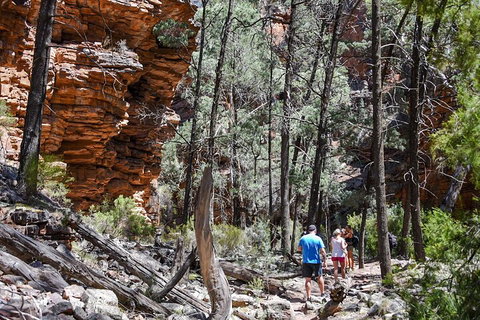 6-Day Eyre Peninsula & Flinders Ranges Adventure Tour - Accommodation Kalgoorlie 5