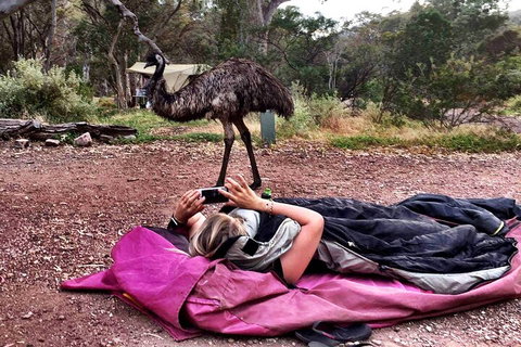 6 Day Esperance & Margaret River Adventure Tour - Accommodation Kalgoorlie 5