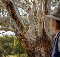NEW TOUR - Kangaroo Island Road to Recovery Tour 1 Day/1 Night - Accommodation Kalgoorlie